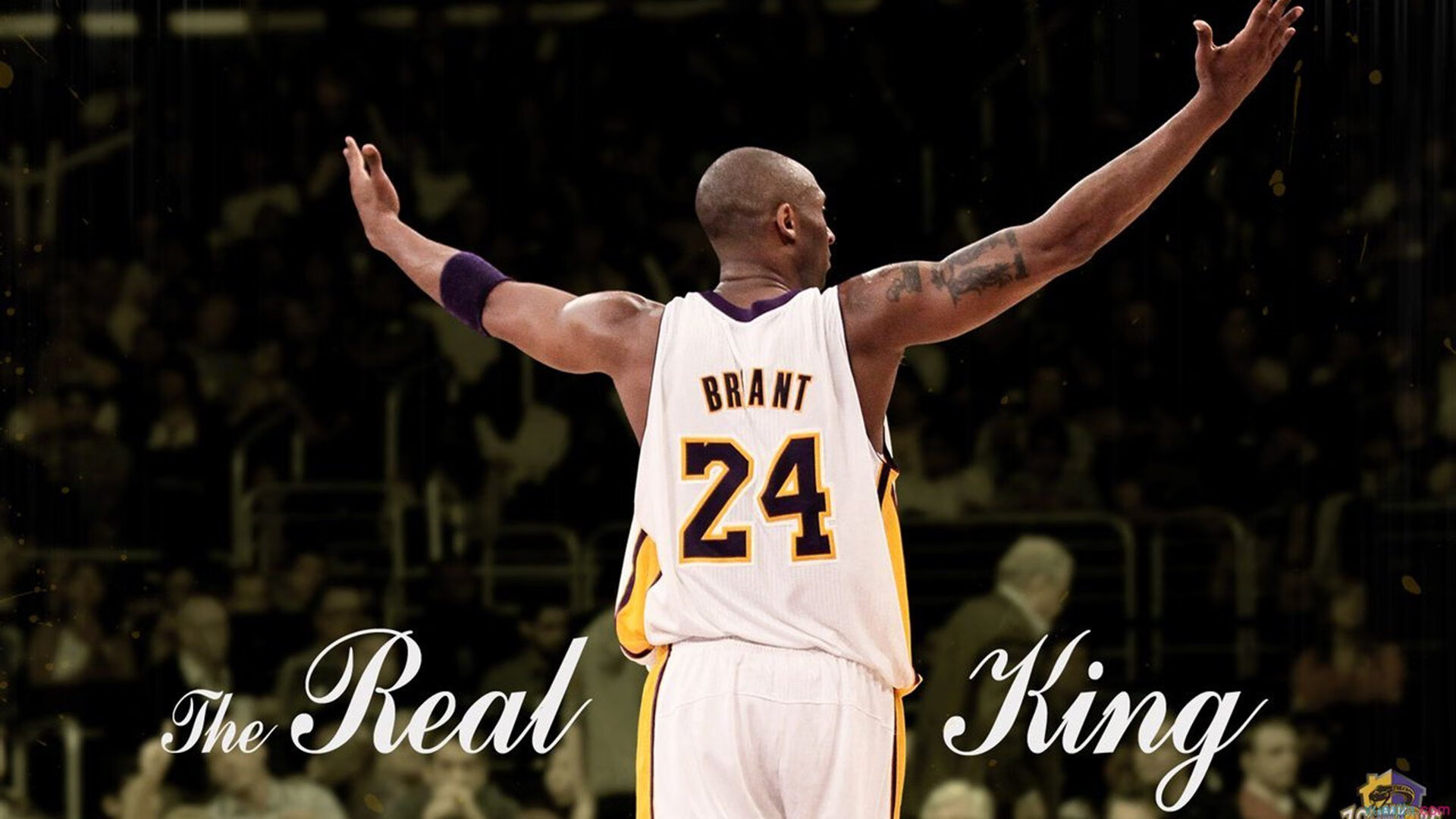 爱游戏-意甲焦点战之夜,詹姆斯舞台越大越强,跨越时空的竞技诗篇