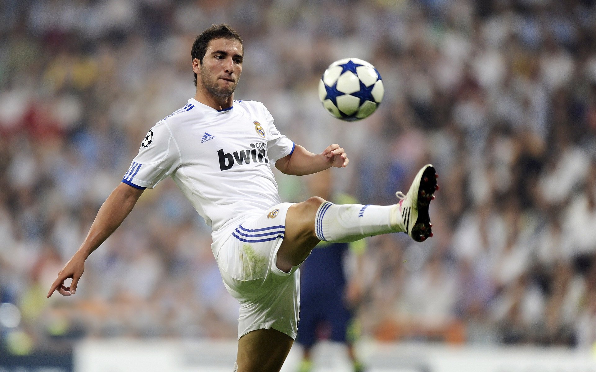 爱游戏在线-2026世界杯复仇之战，西班牙绝杀尼日利亚，莱万领军波兰演绎控球王道